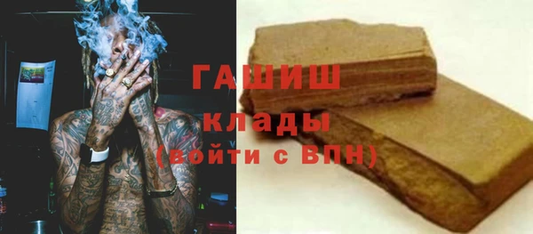 apvp Гусев