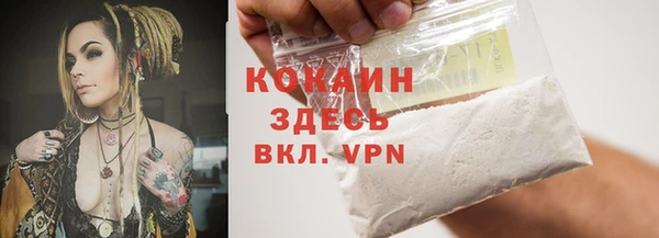 apvp Гусев