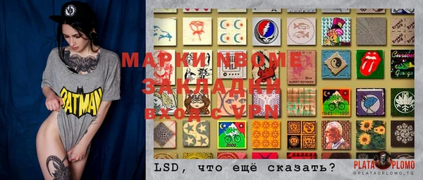 apvp Гусев