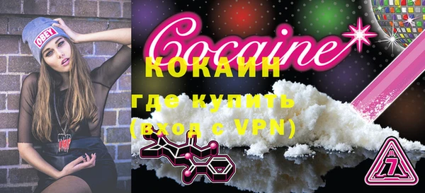 apvp Гусев