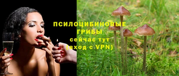 apvp Гусев