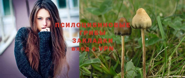 кокаин Гусь-Хрустальный
