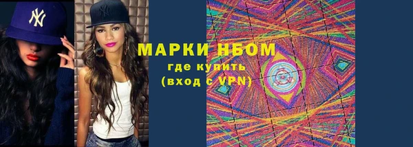 apvp Гусев